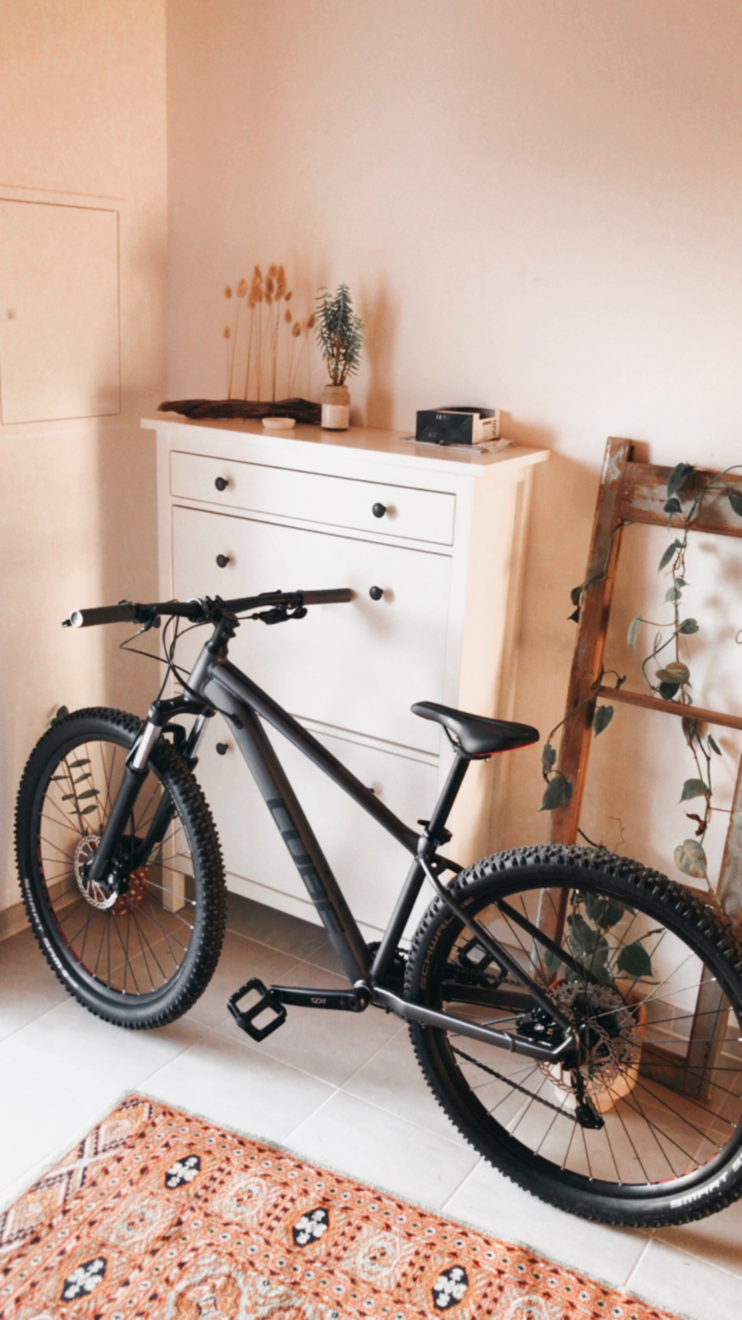 Bikes