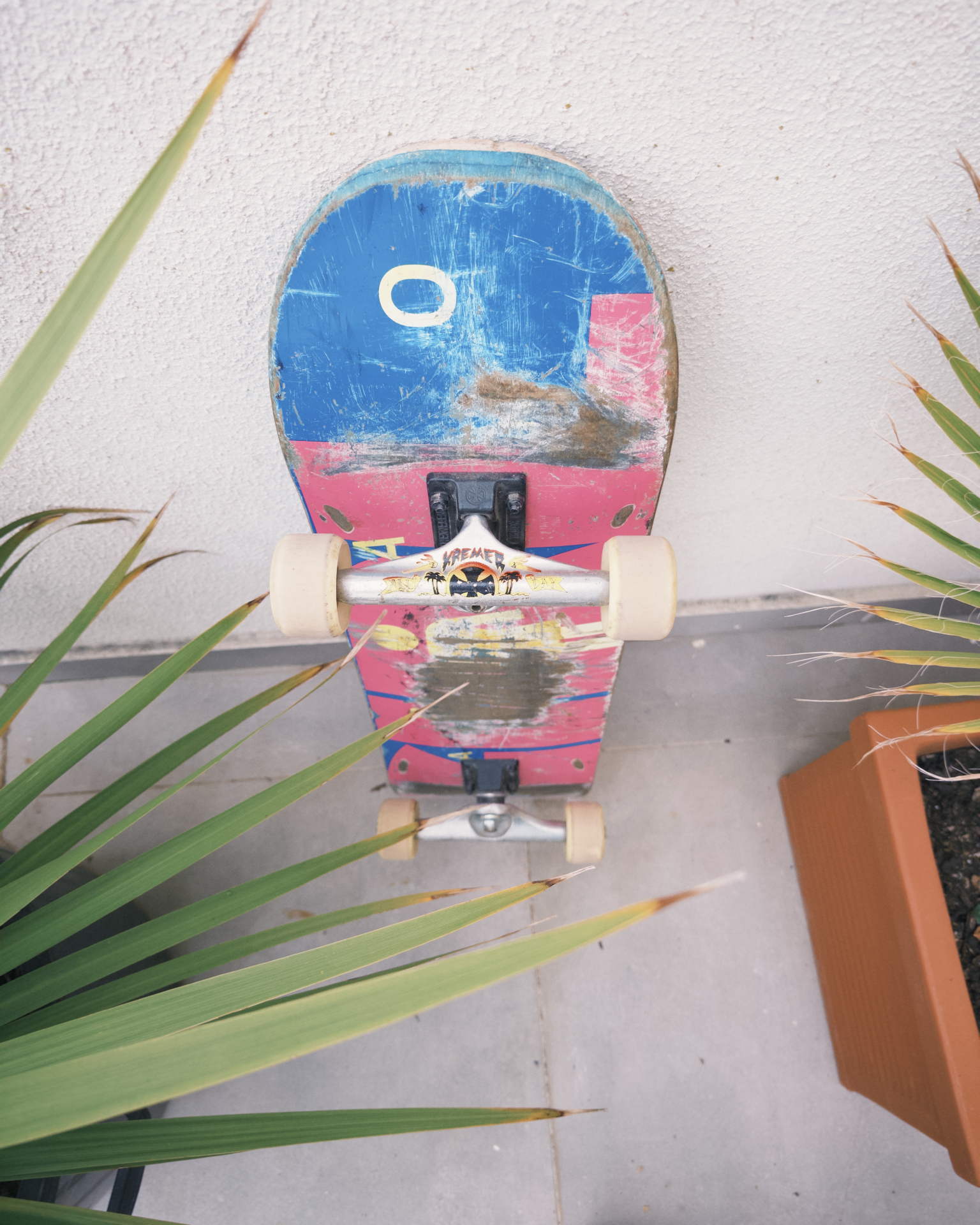 Skateboards / Cruiser