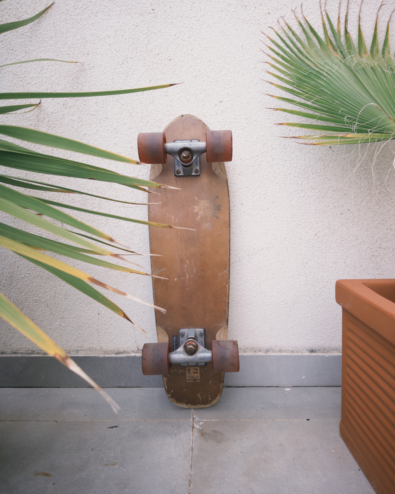 Skateboards / Cruiser