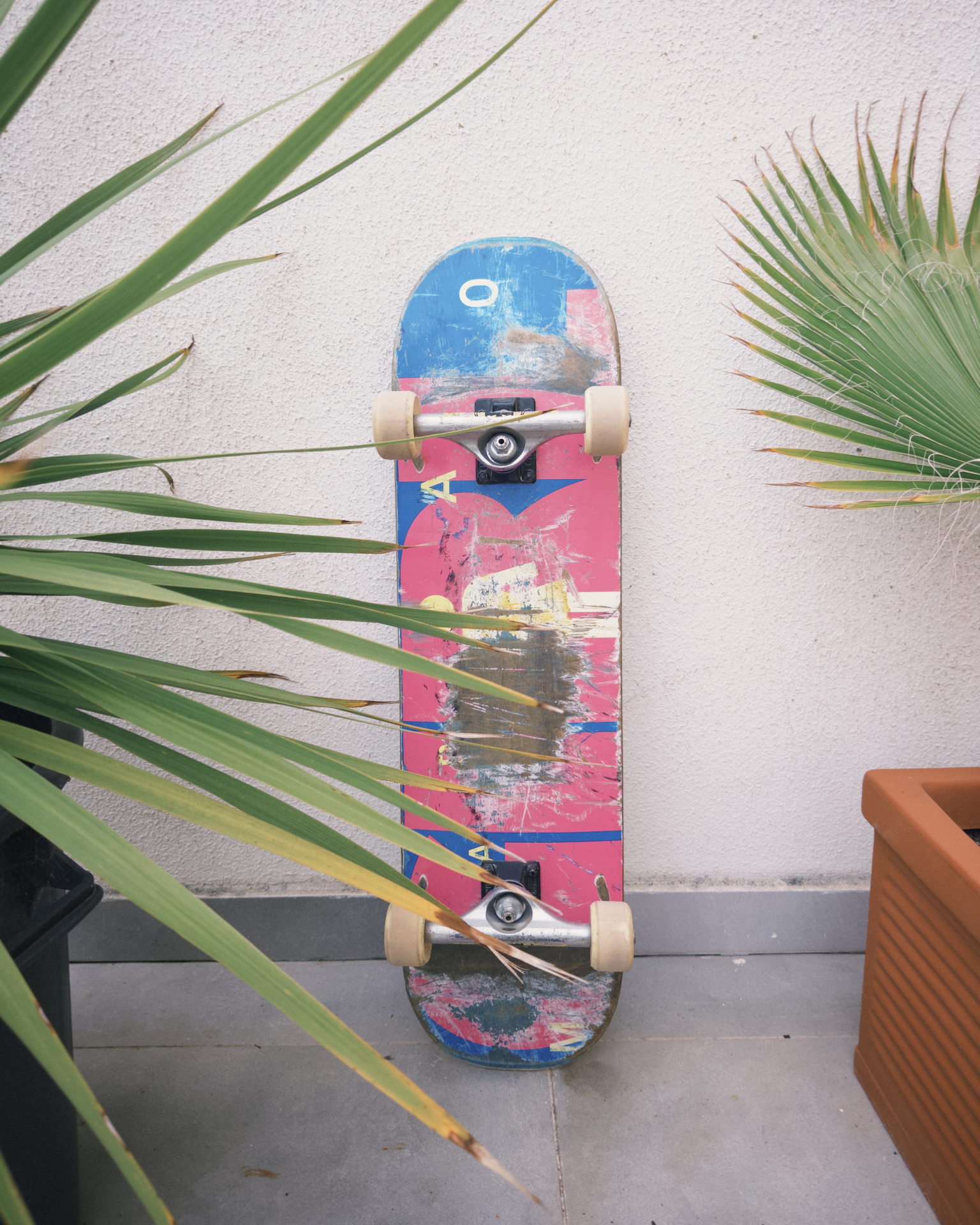 Skateboards / Cruiser