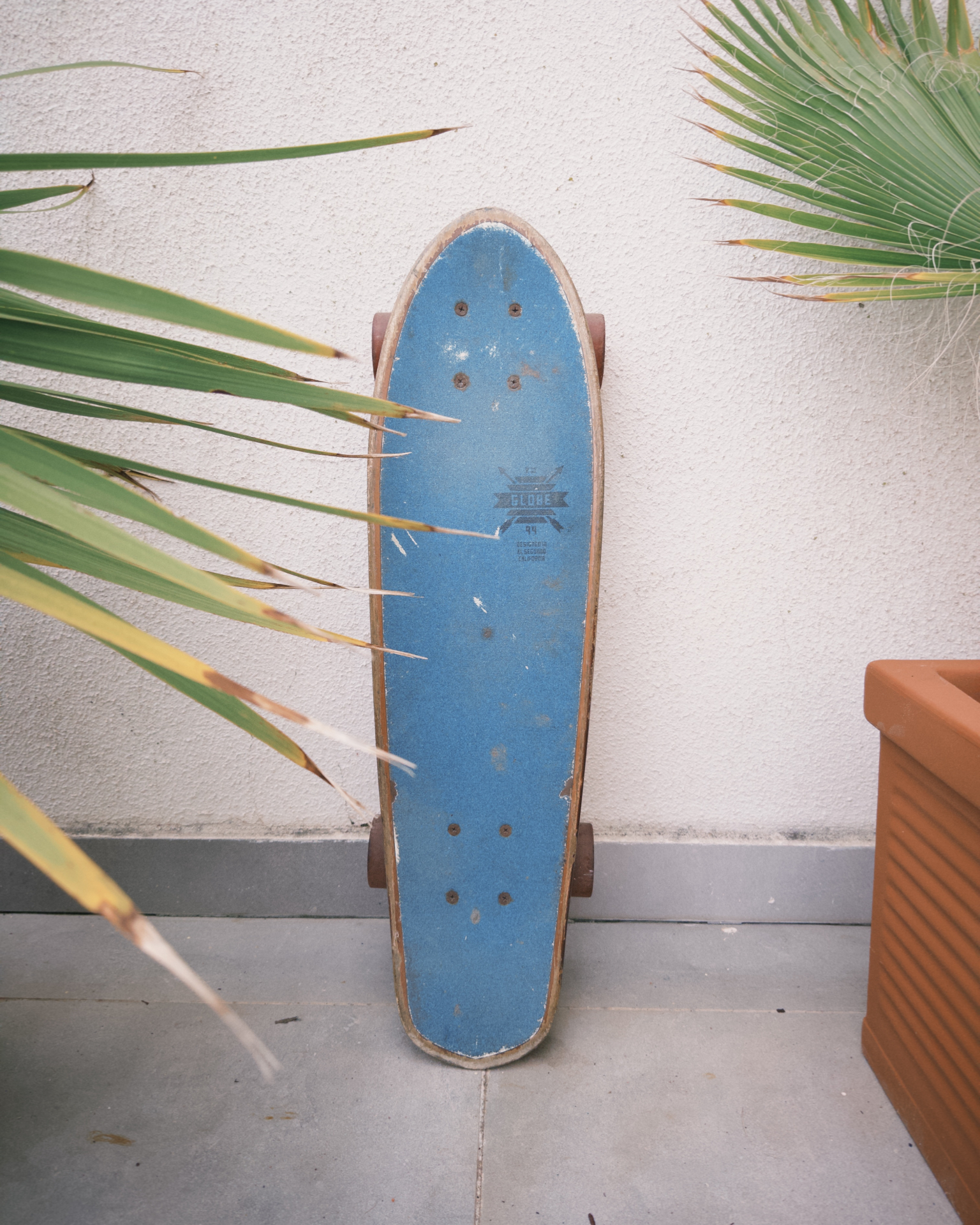 Skateboards / Cruiser